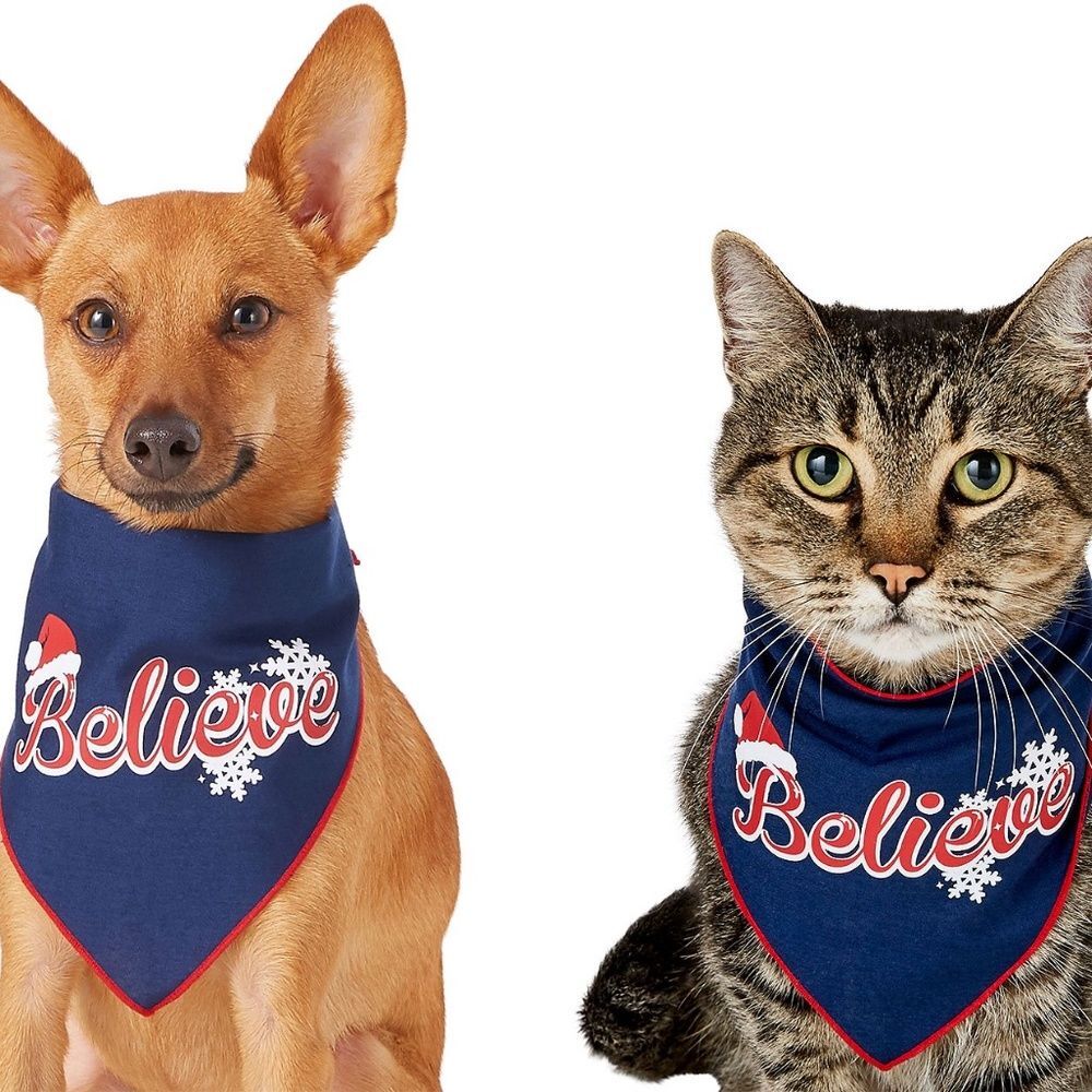 Pup Crew Pet Bandana Cat or Dog Christmas Believe Santa Hat Snow Blue XS-S New